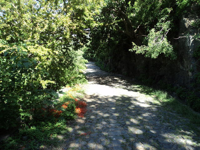 LISTOS!  EN SUS MARCAS! FUERA! SI NO HA BAJADO NUNCA NO SE APRESURE, DOSIFIQUE SU ENERGIA, PUEDE SER QUE SE CANSE EN TAN SOLO LA BAJADA, ASI ES QUE PRIMERO TOME SU TIEMPO Y SEGUN COMO SE SIENTE HAGA EL ASCENSO A SU NIVEL DE CONDICION FISICA.